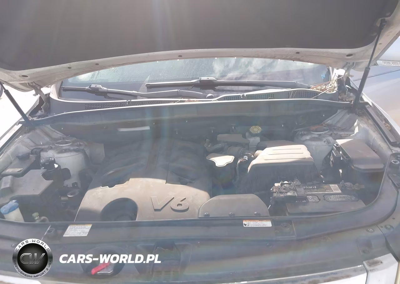 2008 Hyundai Veracruz Gls-Limited-Se VIN:KM8NU13C98U039711 - 10