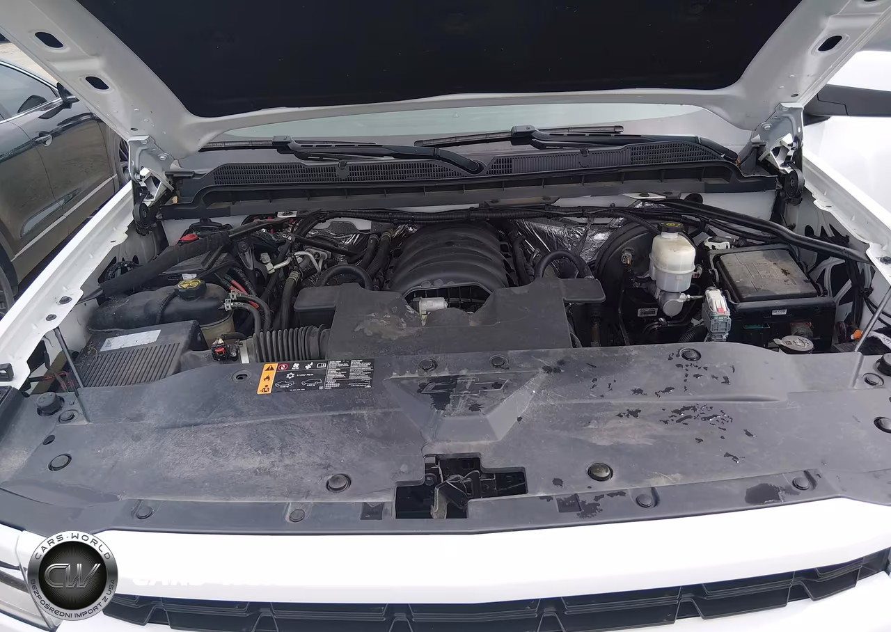 2017 Chevrolet Silverado 1500 2Lt VIN:3GCUKREC9HG309038 - 10