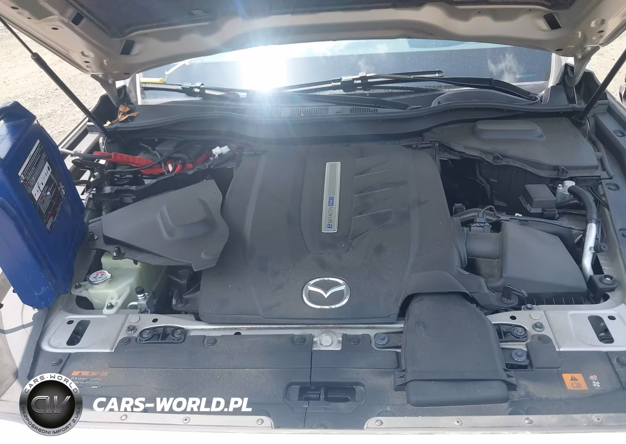 2024 Mazda Cx-90 Phev Premium VIN:JM3KKDHA4R1108384 - 10