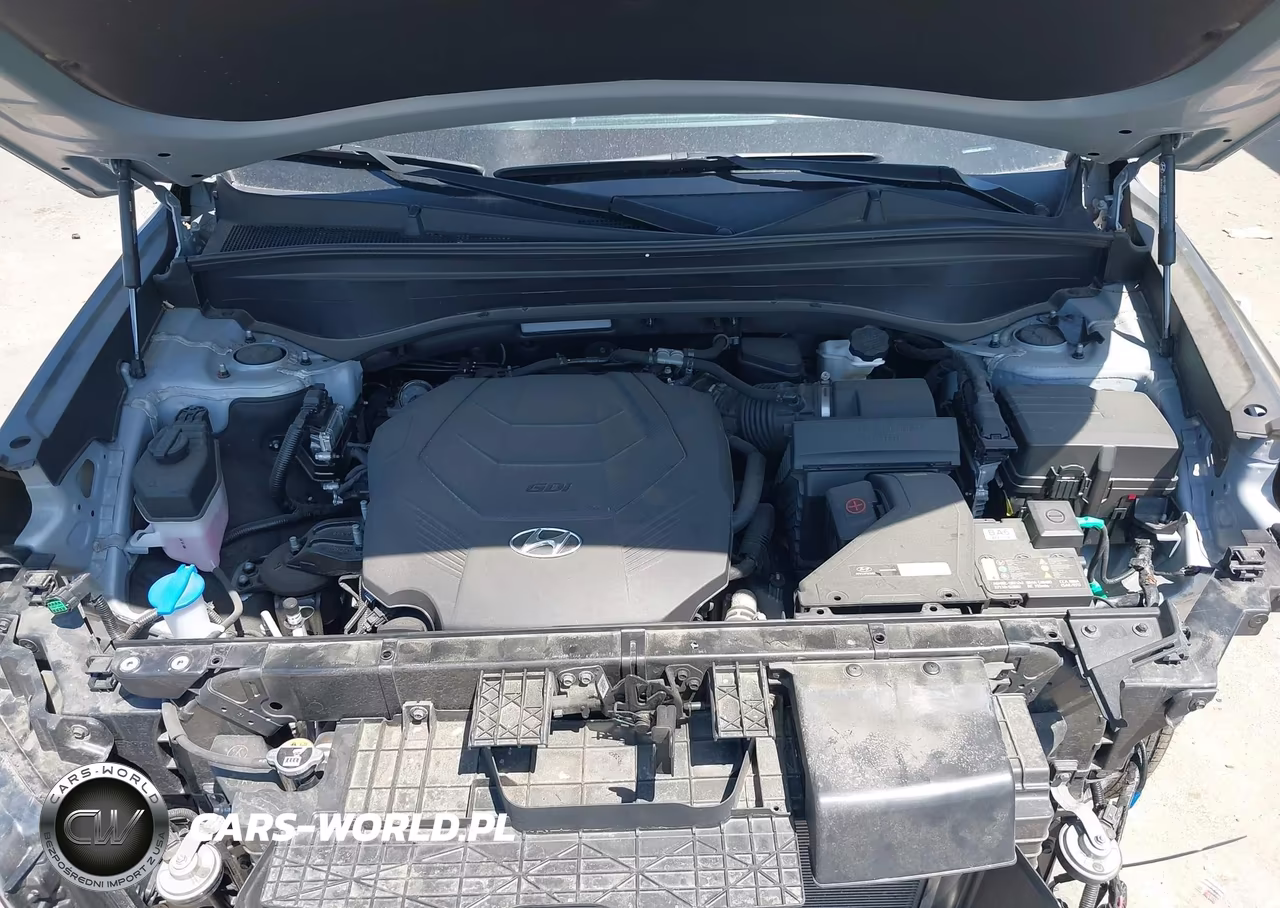 2023 Hyundai Palisade Sel VIN:KM8R2DGE4PU556191 - 10