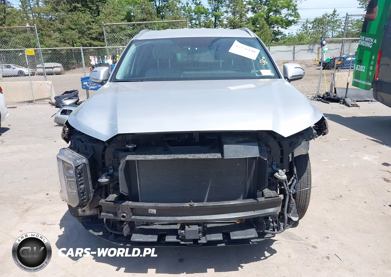 2023 Hyundai Palisade Sel VIN:KM8R2DGE4PU556191 - 13