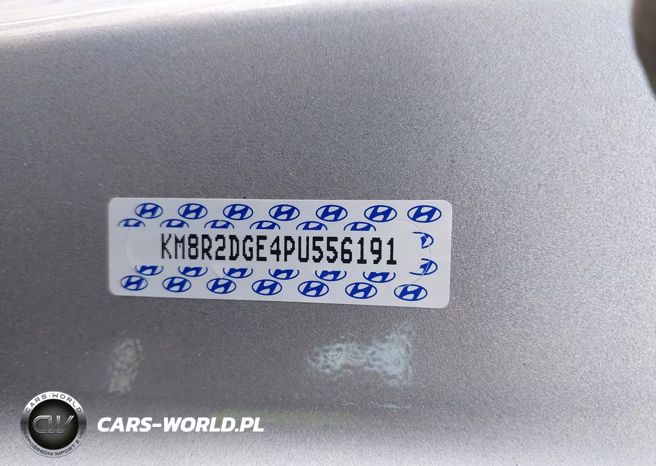 2023 Hyundai Palisade Sel VIN:KM8R2DGE4PU556191 - 19
