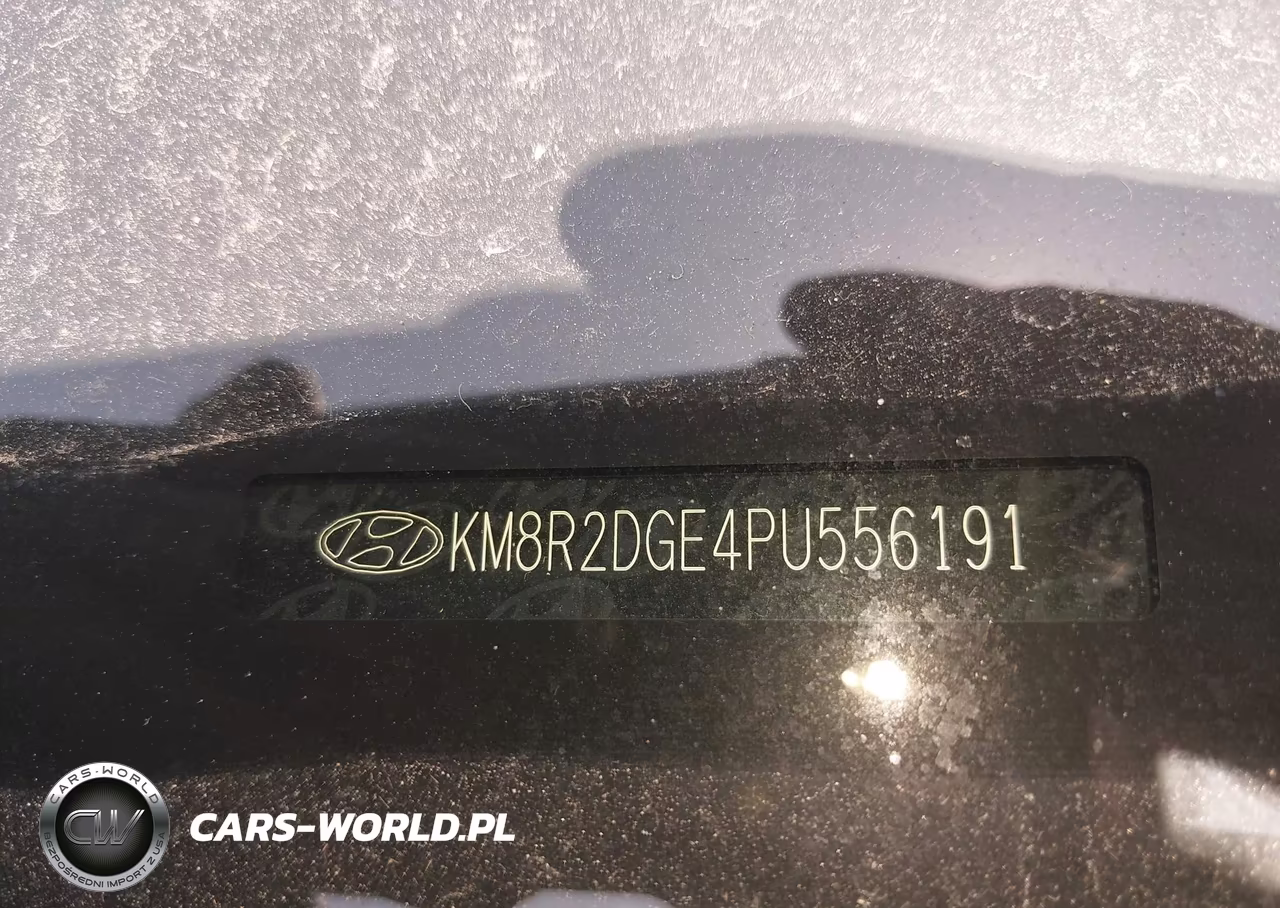 2023 Hyundai Palisade Sel VIN:KM8R2DGE4PU556191 - 20