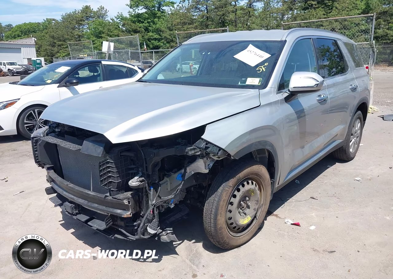 2023 Hyundai Palisade Sel VIN:KM8R2DGE4PU556191 - 6