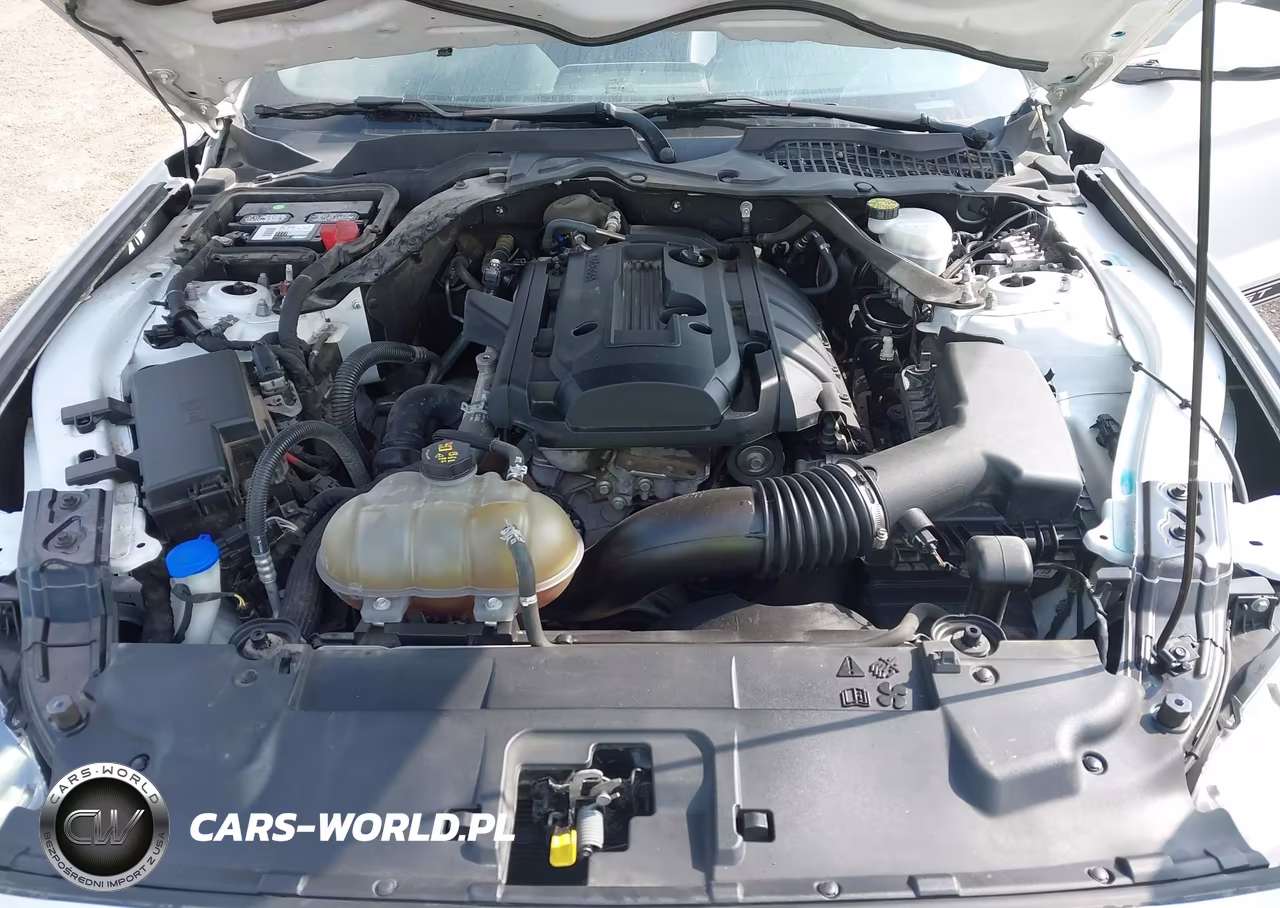 2020 Ford Mustang Ecoboost Premium VIN:1FATP8UH5L5114502 - 10