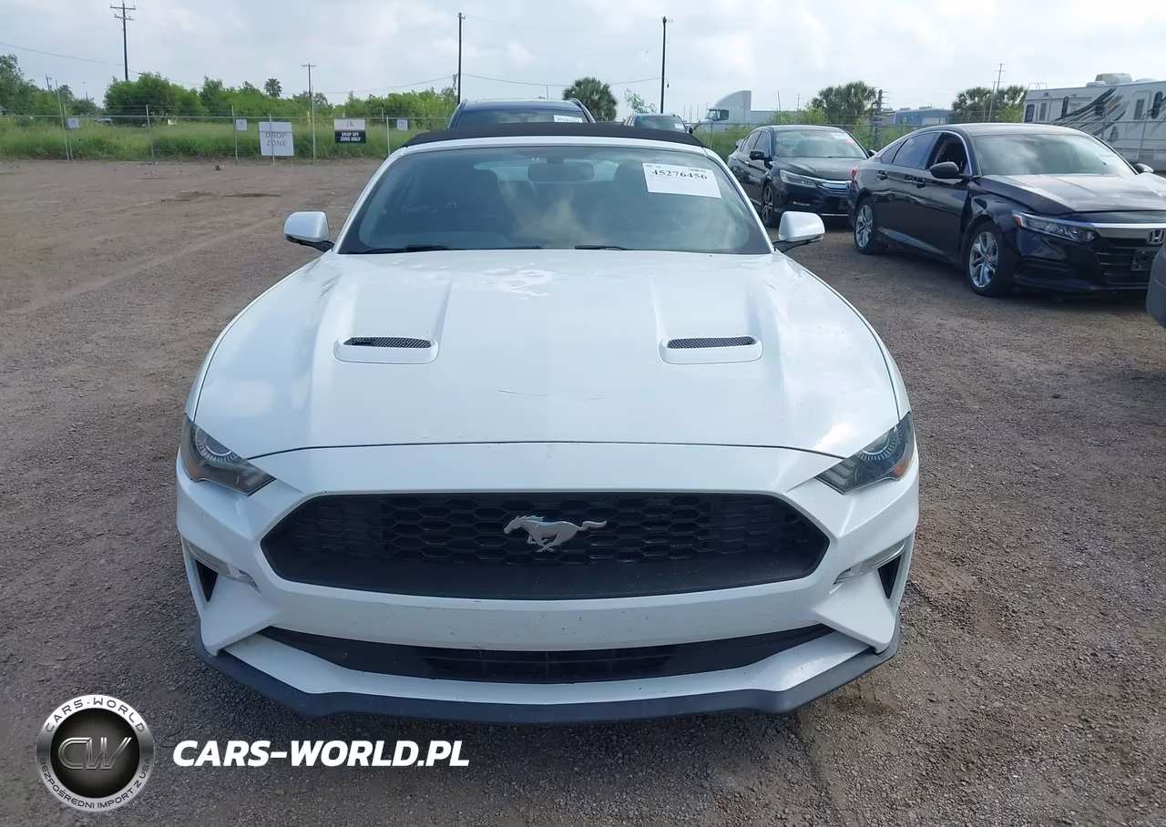 2020 Ford Mustang Ecoboost Premium VIN:1FATP8UH5L5114502 - 12