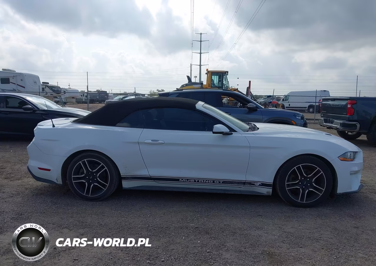 2020 Ford Mustang Ecoboost Premium VIN:1FATP8UH5L5114502 - 13