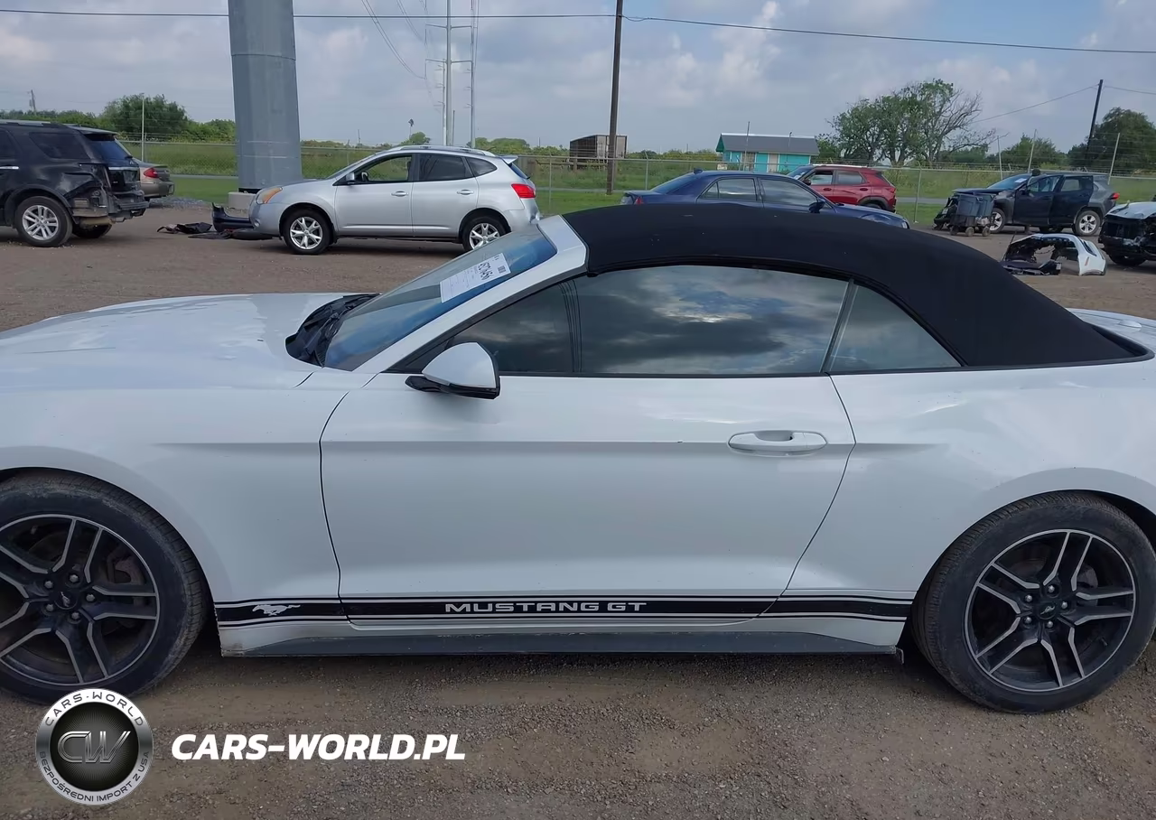 2020 Ford Mustang Ecoboost Premium VIN:1FATP8UH5L5114502 - 14