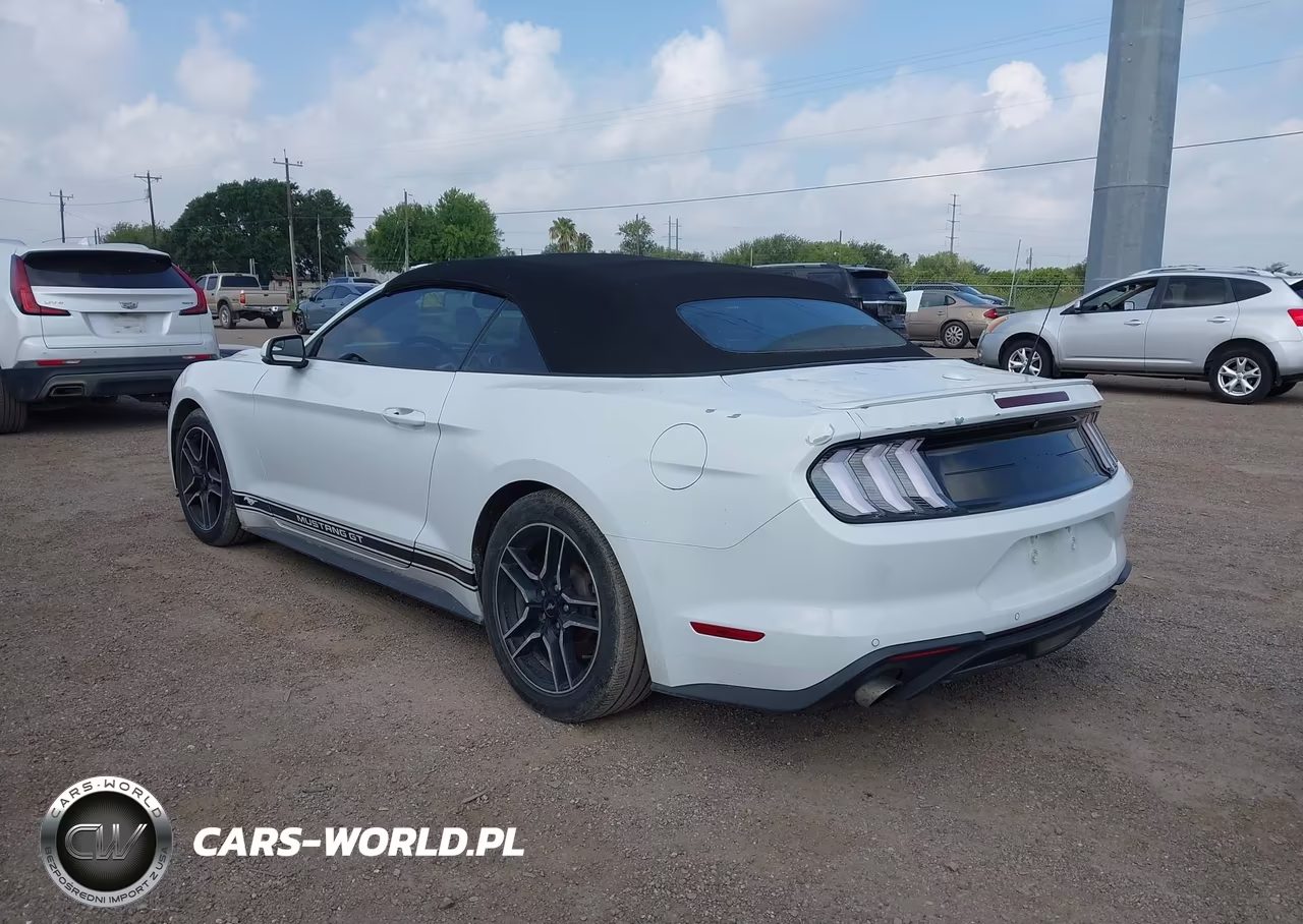 2020 Ford Mustang Ecoboost Premium VIN:1FATP8UH5L5114502 - 3