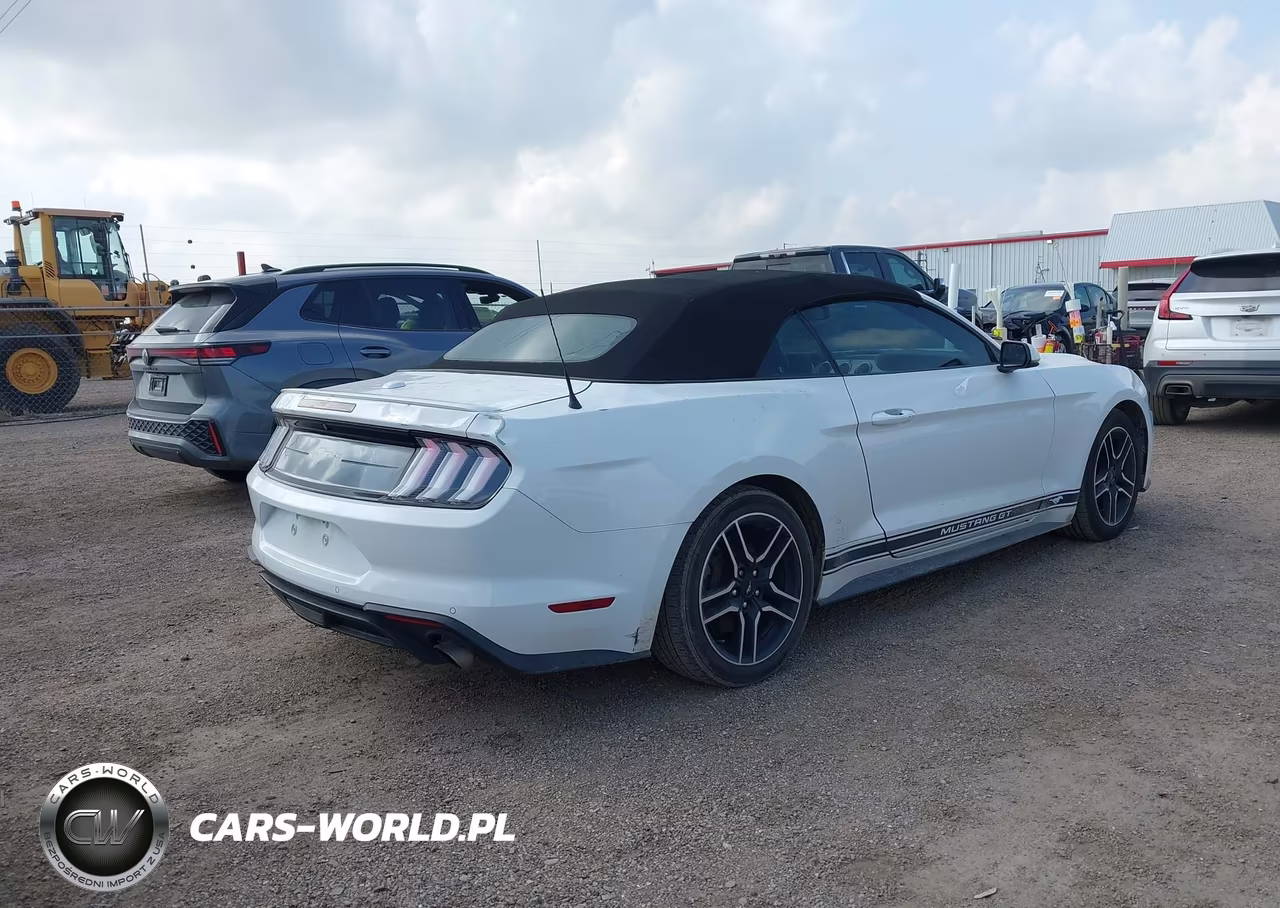 2020 Ford Mustang Ecoboost Premium VIN:1FATP8UH5L5114502 - 4