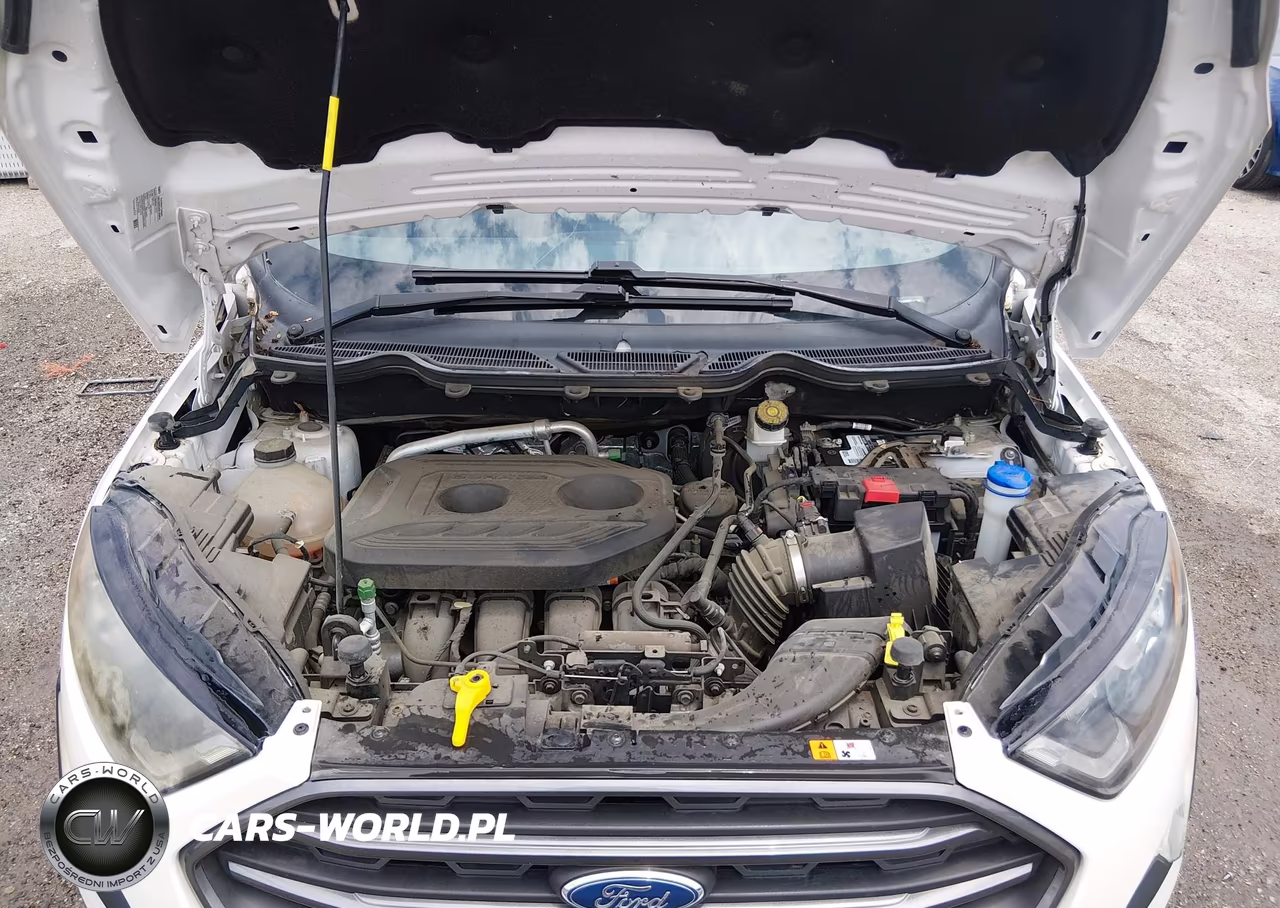 2018 Ford Ecosport Ses VIN:MAJ6P1CL2JC197079 - 10