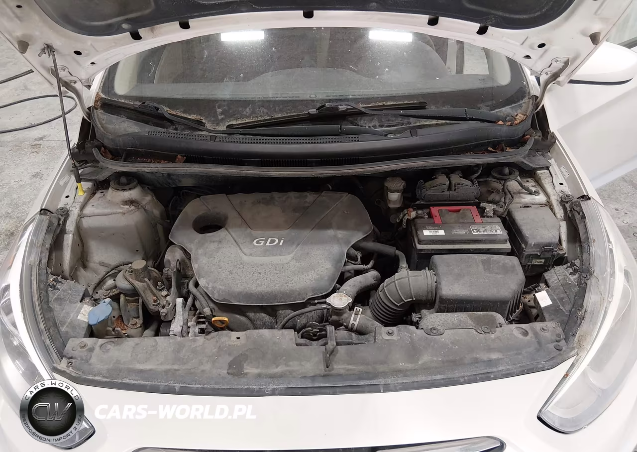 2016 Hyundai Accent Se VIN:KMHCT4AE2GU968928 - 10