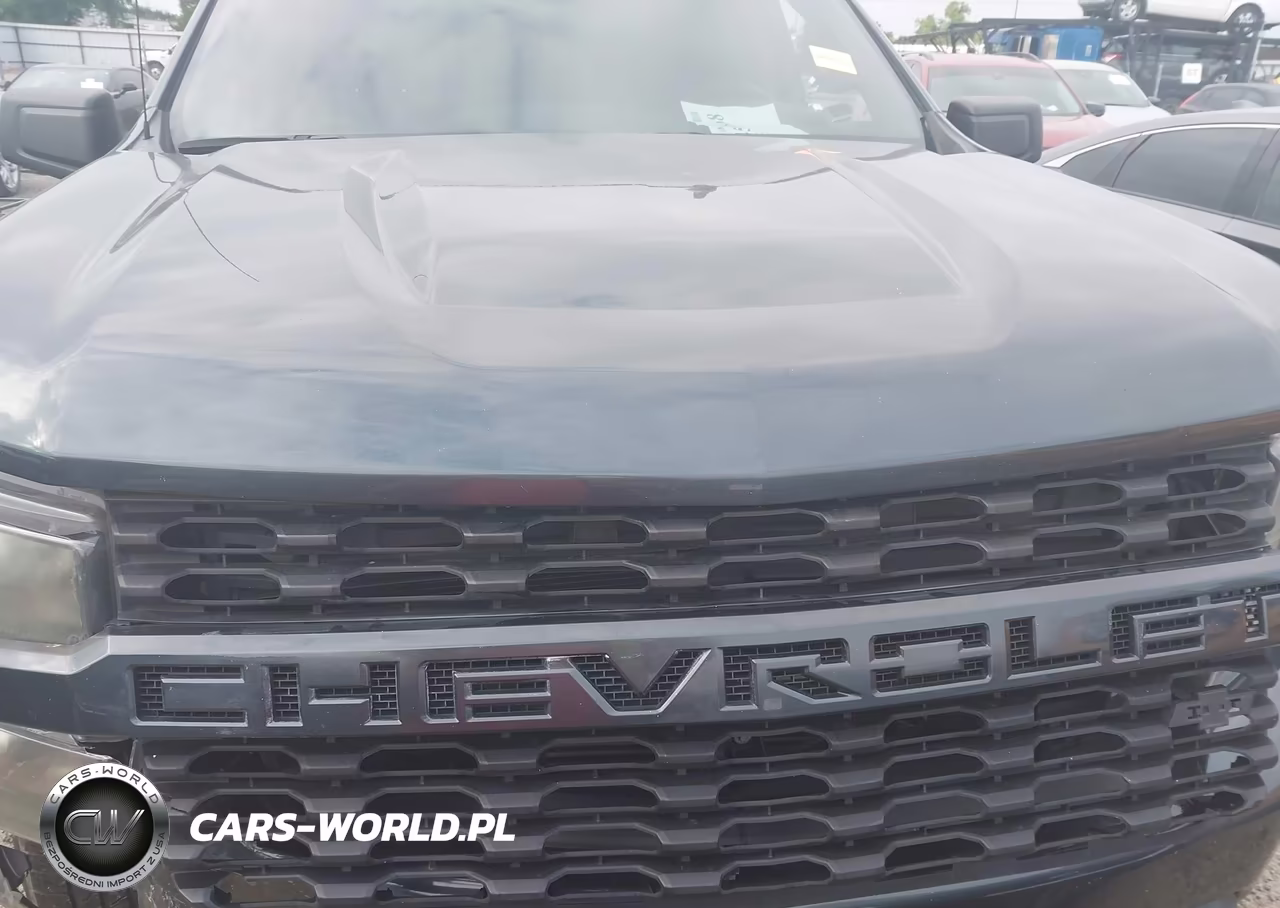 2020 Chevrolet Silverado 1500 2Wd Short Bed Custom VIN:3GCPWBEK0LG454056 - 10