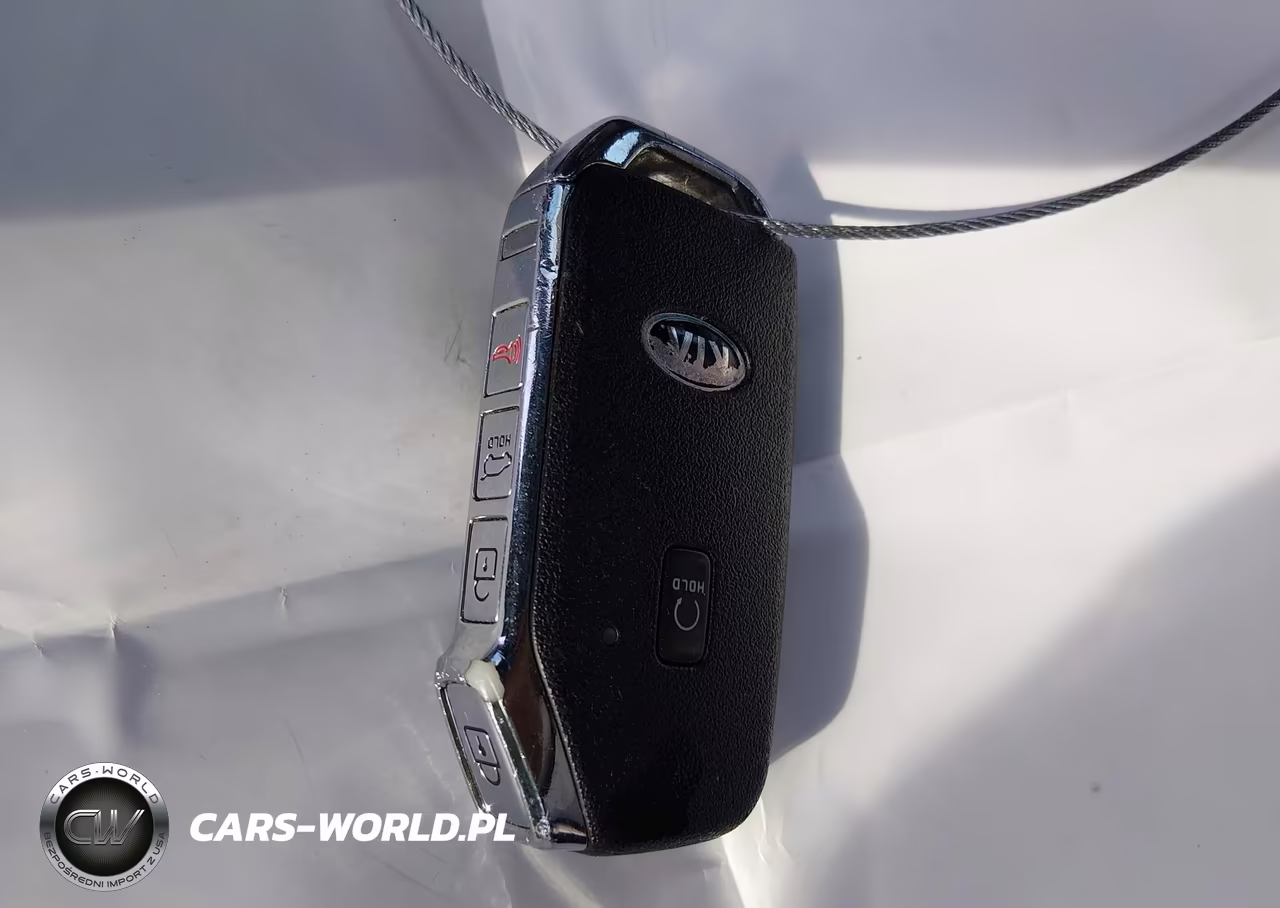 2021 Kia Telluride Sx VIN:5XYP5DHCXMG184577 - 11