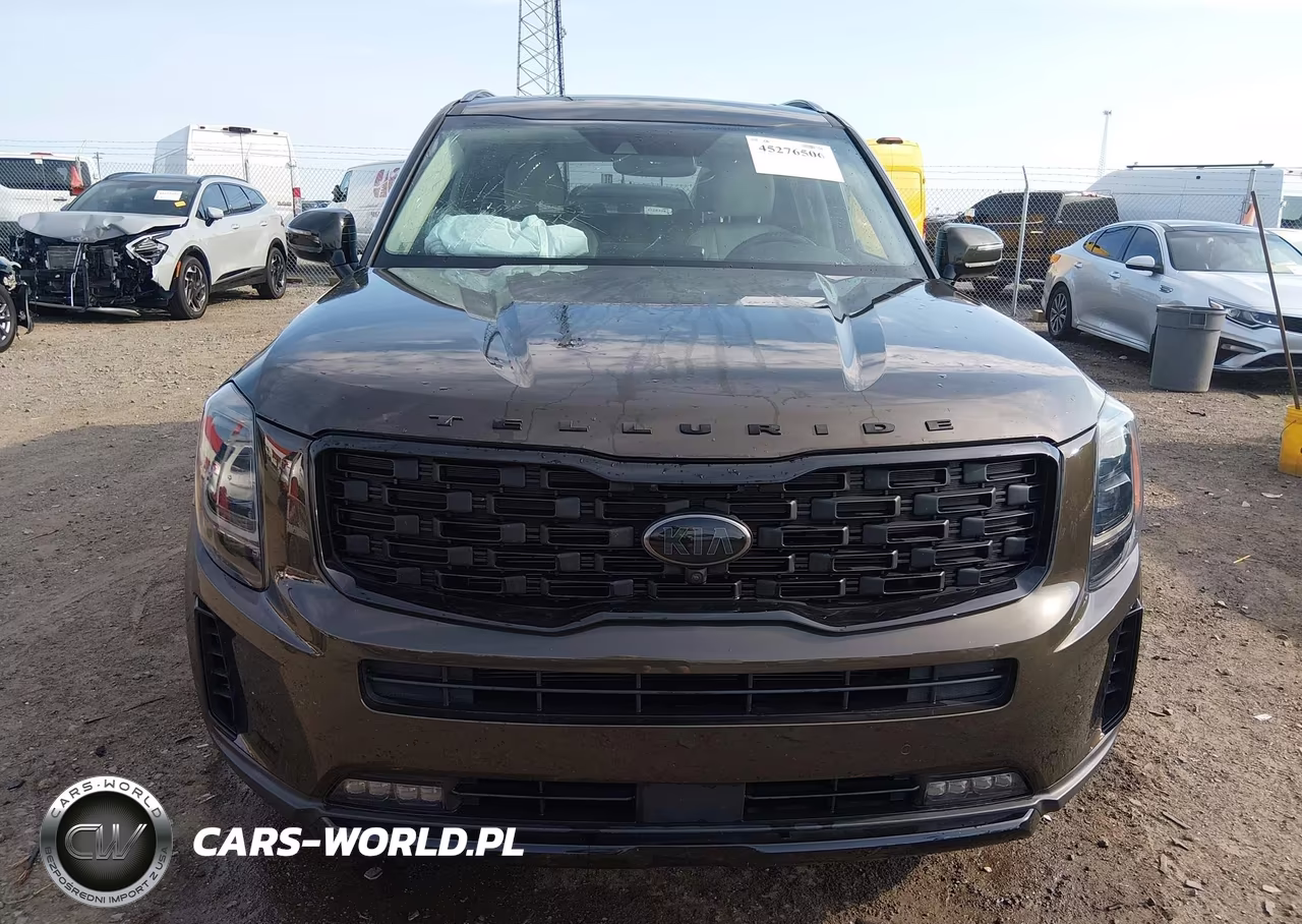 2021 Kia Telluride Sx VIN:5XYP5DHCXMG184577 - 12