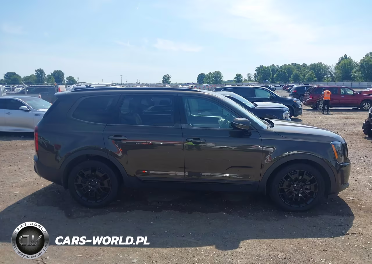 2021 Kia Telluride Sx VIN:5XYP5DHCXMG184577 - 13