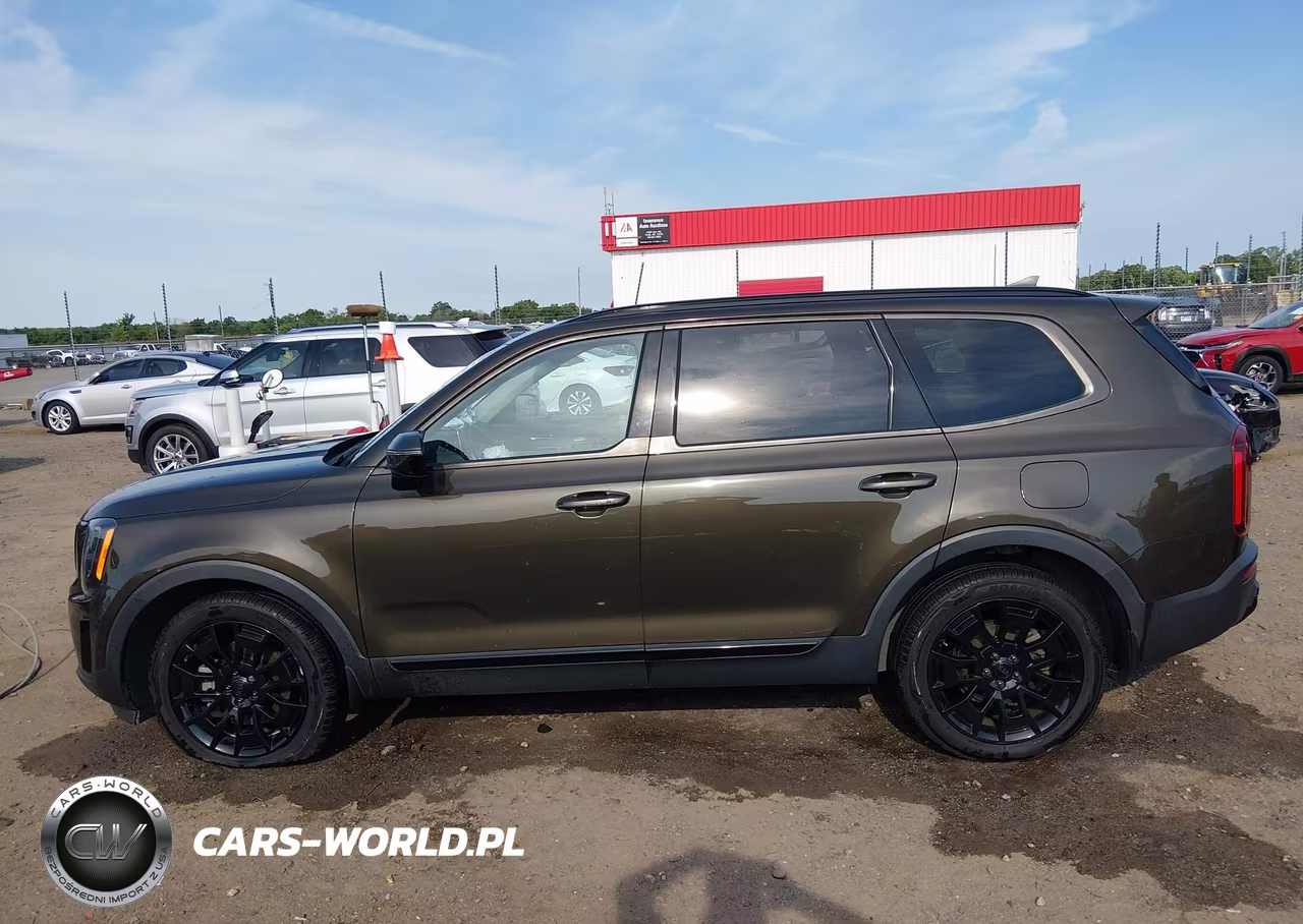 2021 Kia Telluride Sx VIN:5XYP5DHCXMG184577 - 14