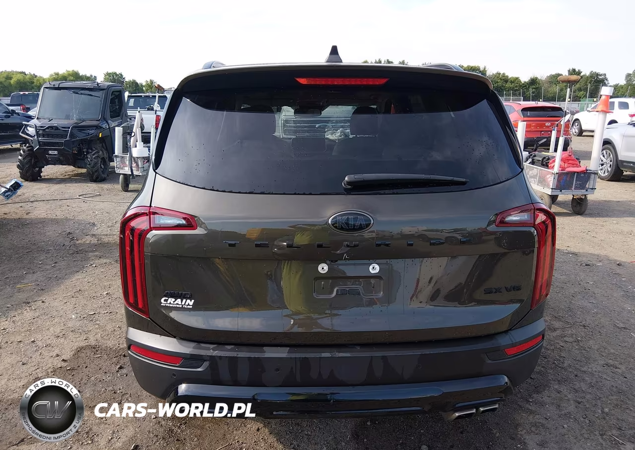 2021 Kia Telluride Sx VIN:5XYP5DHCXMG184577 - 16