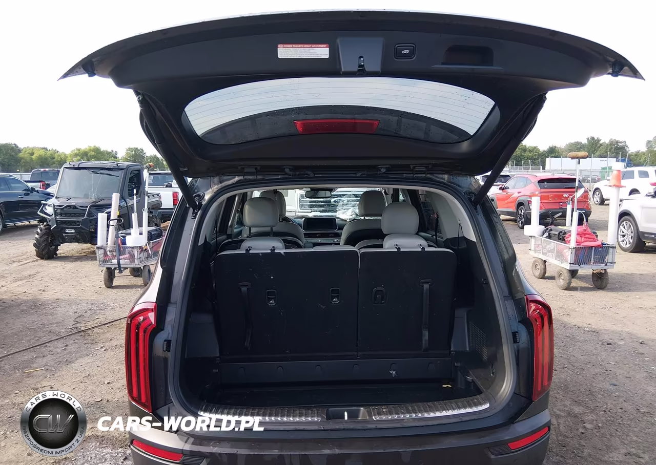 2021 Kia Telluride Sx VIN:5XYP5DHCXMG184577 - 17