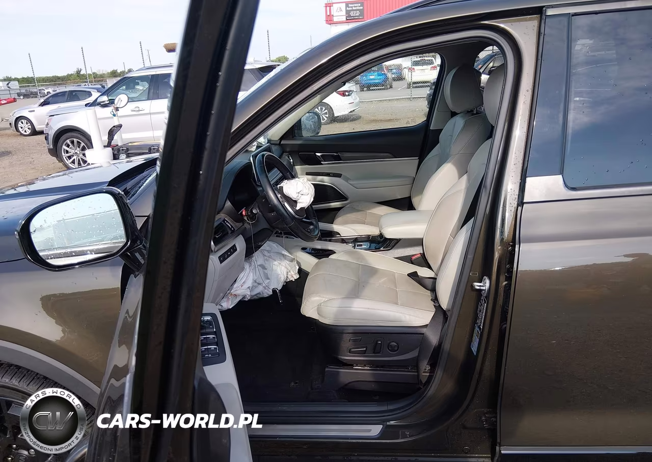 2021 Kia Telluride Sx VIN:5XYP5DHCXMG184577 - 18