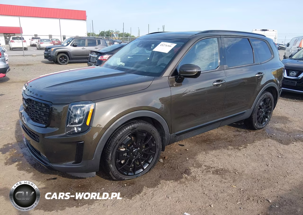2021 Kia Telluride Sx VIN:5XYP5DHCXMG184577 - 2