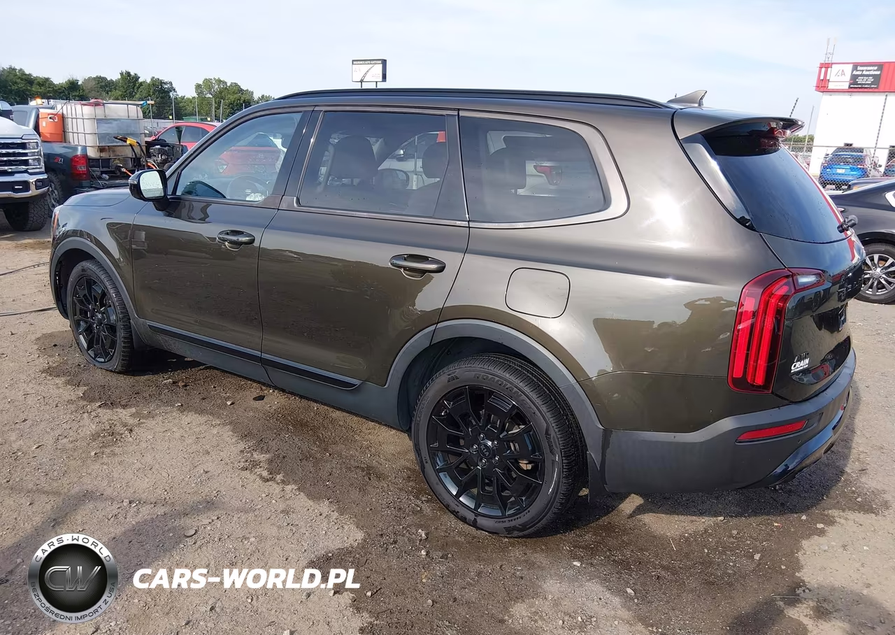 2021 Kia Telluride Sx VIN:5XYP5DHCXMG184577 - 3