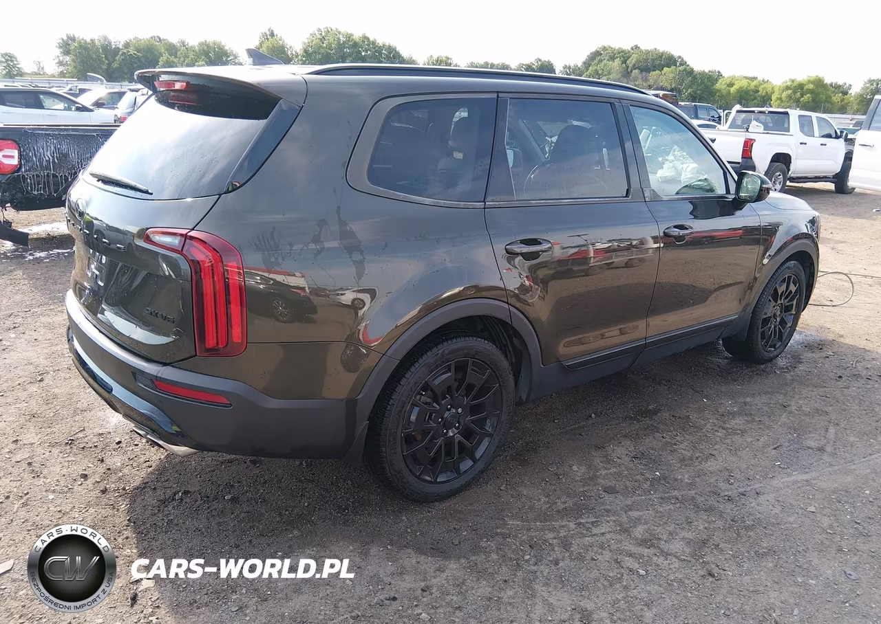 2021 Kia Telluride Sx VIN:5XYP5DHCXMG184577 - 4