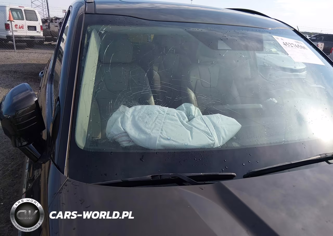 2021 Kia Telluride Sx VIN:5XYP5DHCXMG184577 - 6