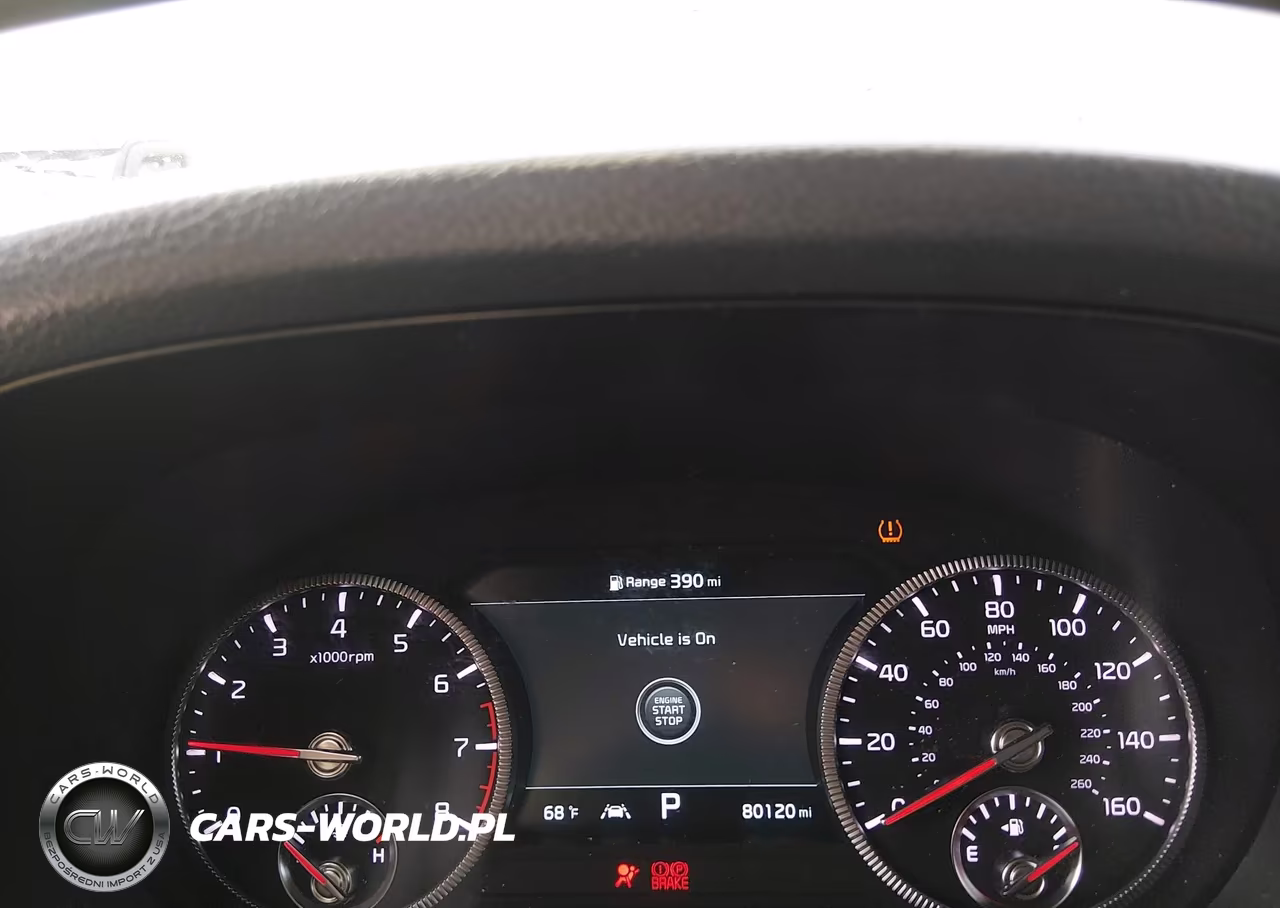 2021 Kia Telluride Sx VIN:5XYP5DHCXMG184577 - 7