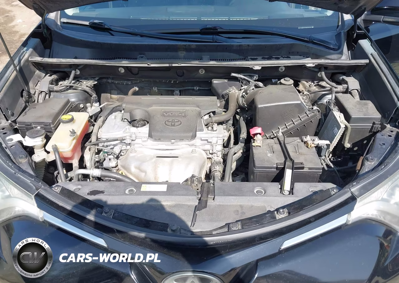 2017 Toyota Rav4 Xle VIN:2T3WFREV5HW384849 - 10