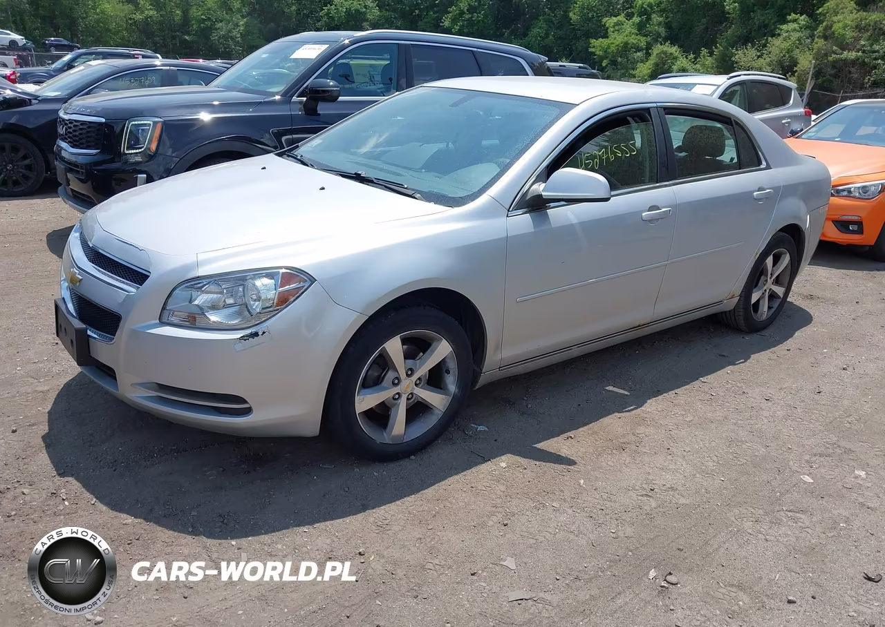 2011 Chevrolet Malibu 1Lt VIN:1G1ZC5E11BF362666 - 2