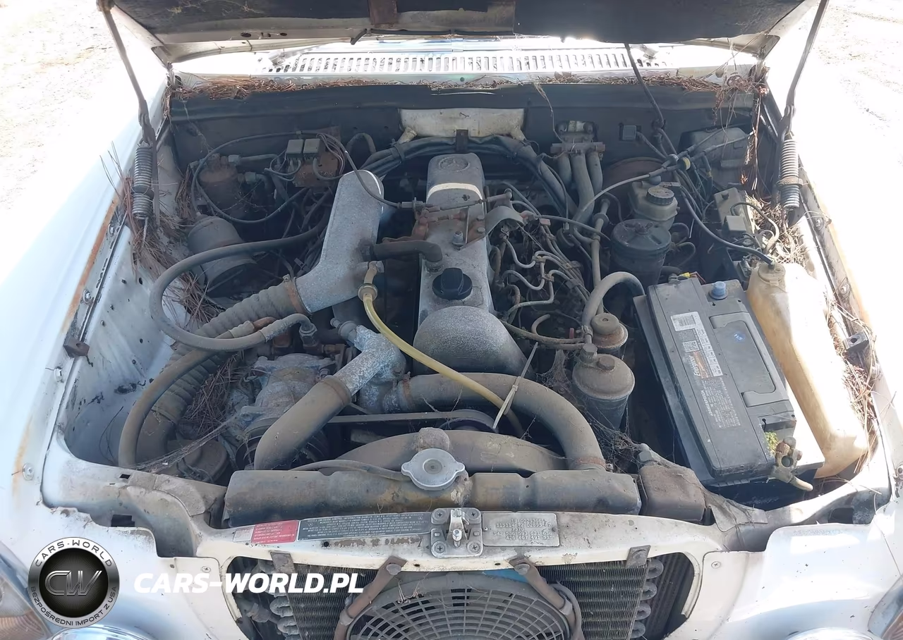 1976 Mercedes-Benz 300 VIN:11511412044949 - 10