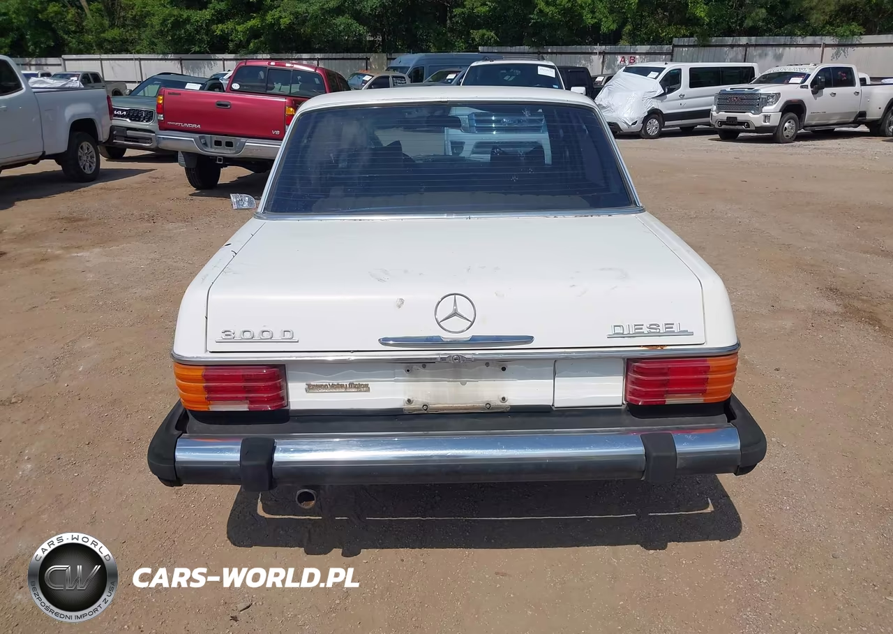 1976 Mercedes-Benz 300 VIN:11511412044949 - 16