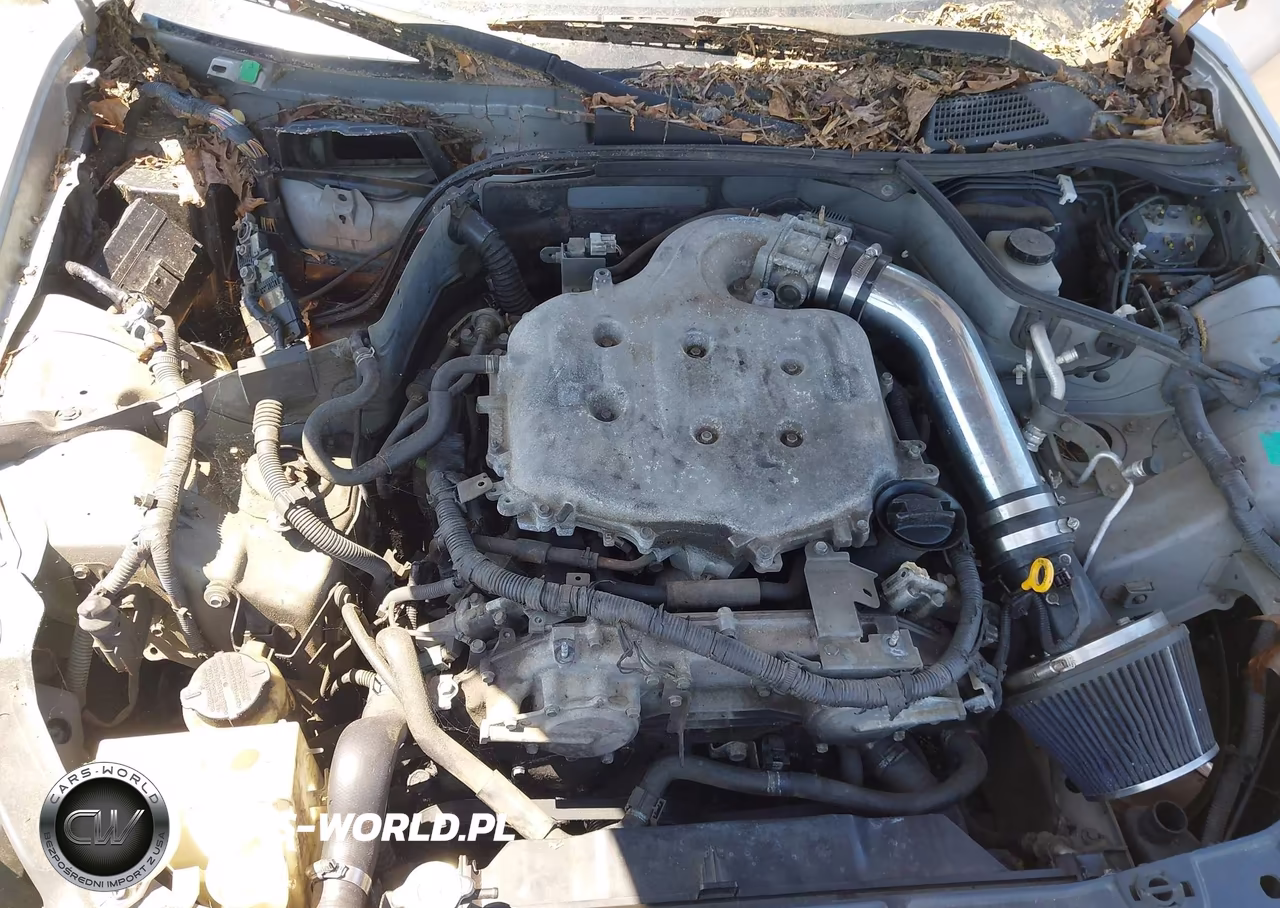2004 Infiniti G35 VIN:JNKCV51E84M612336 - 10