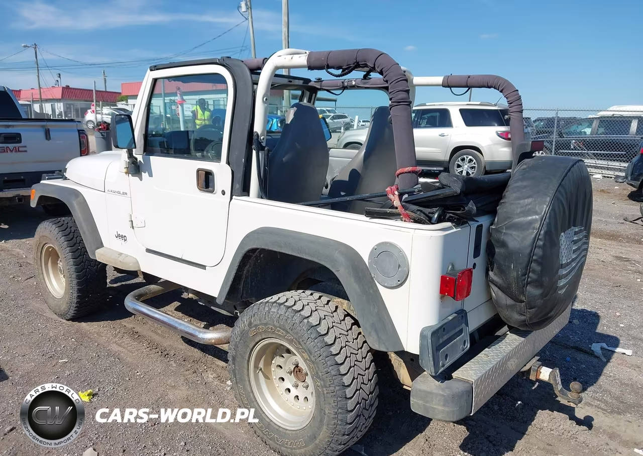 1998 Jeep Wrangler Se VIN:1J4FY29P3WP766166 - 3