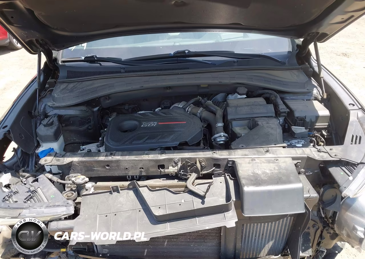 2020 Hyundai Santa Fe Limited 2.0T VIN:5NMS5CAA7LH287019 - 10