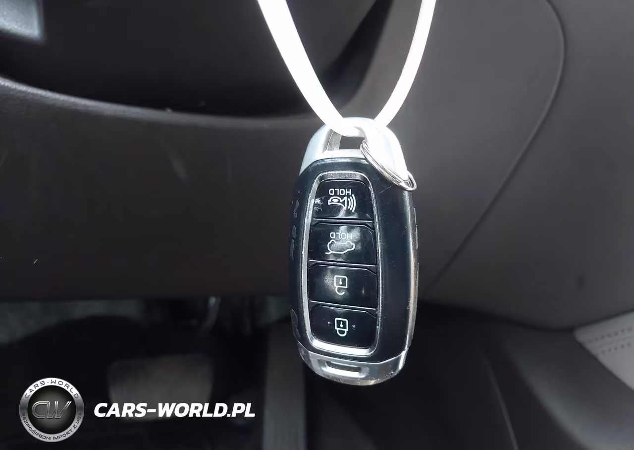 2020 Hyundai Santa Fe Limited 2.0T VIN:5NMS5CAA7LH287019 - 11