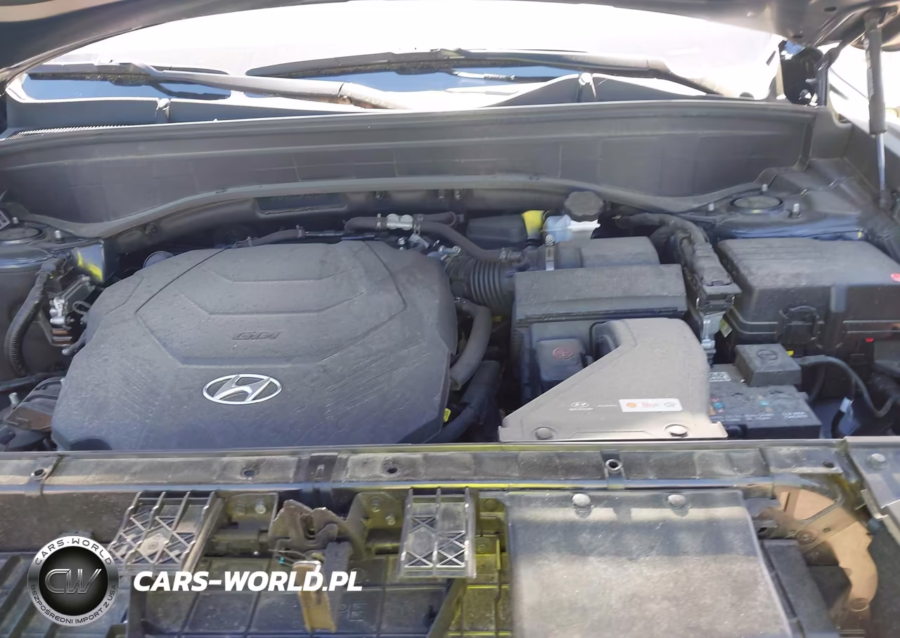 2024 Hyundai Palisade Sel VIN:KM8R2DGE6RU651466 - 10