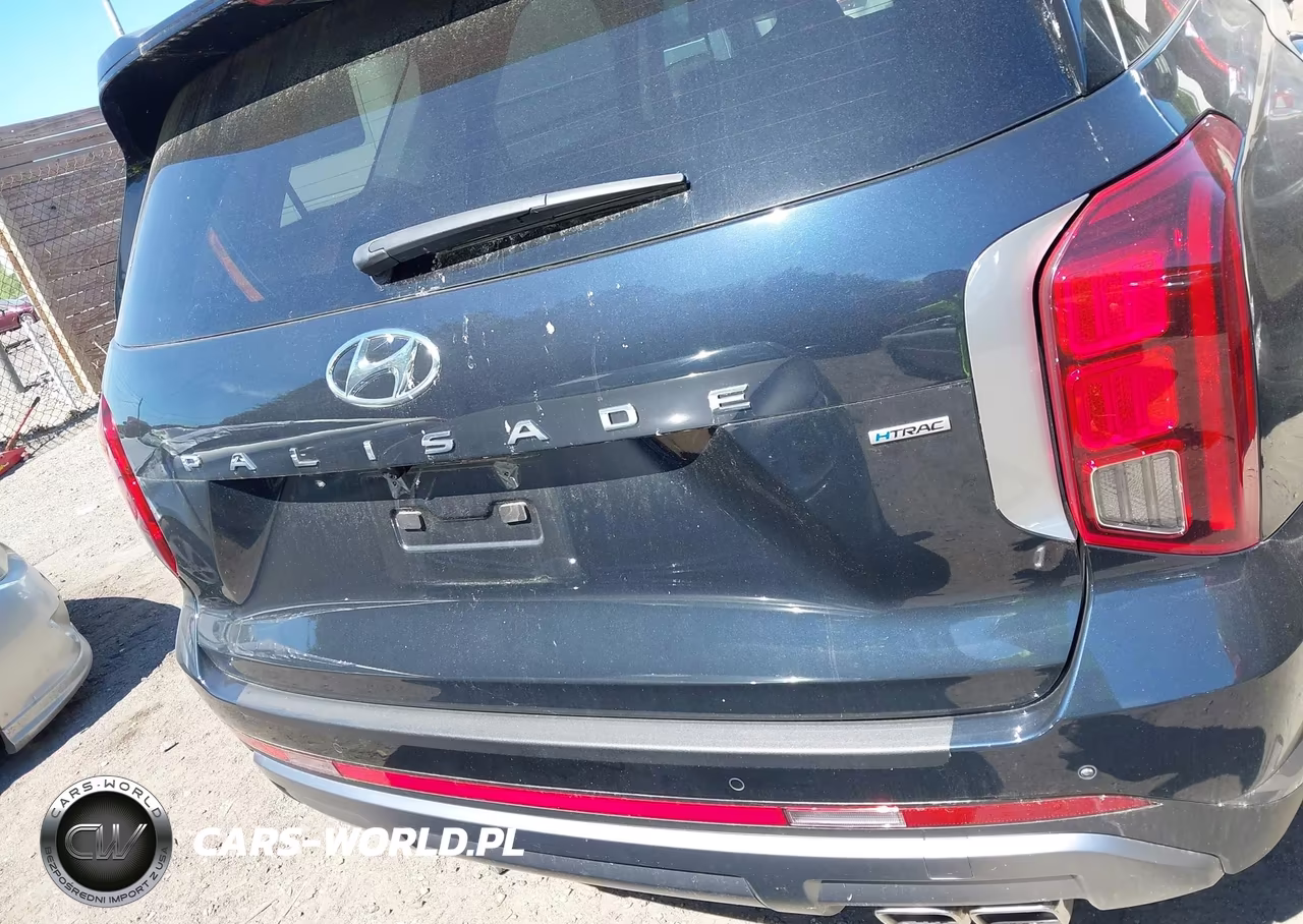 2024 Hyundai Palisade Sel VIN:KM8R2DGE6RU651466 - 16