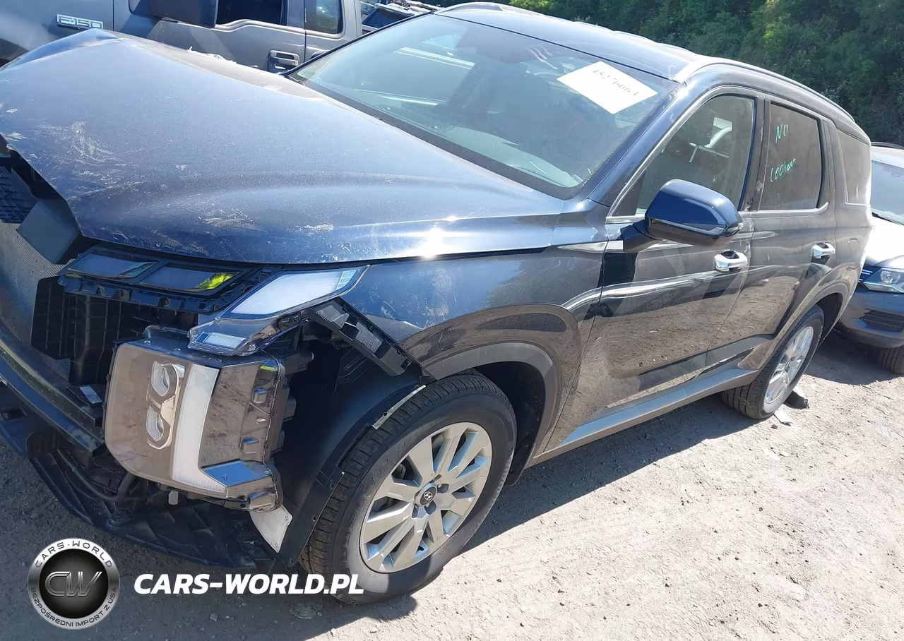 2024 Hyundai Palisade Sel VIN:KM8R2DGE6RU651466 - 2