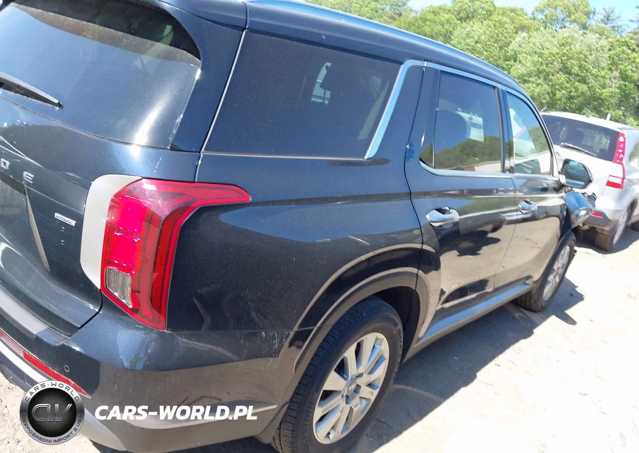 2024 Hyundai Palisade Sel VIN:KM8R2DGE6RU651466 - 4