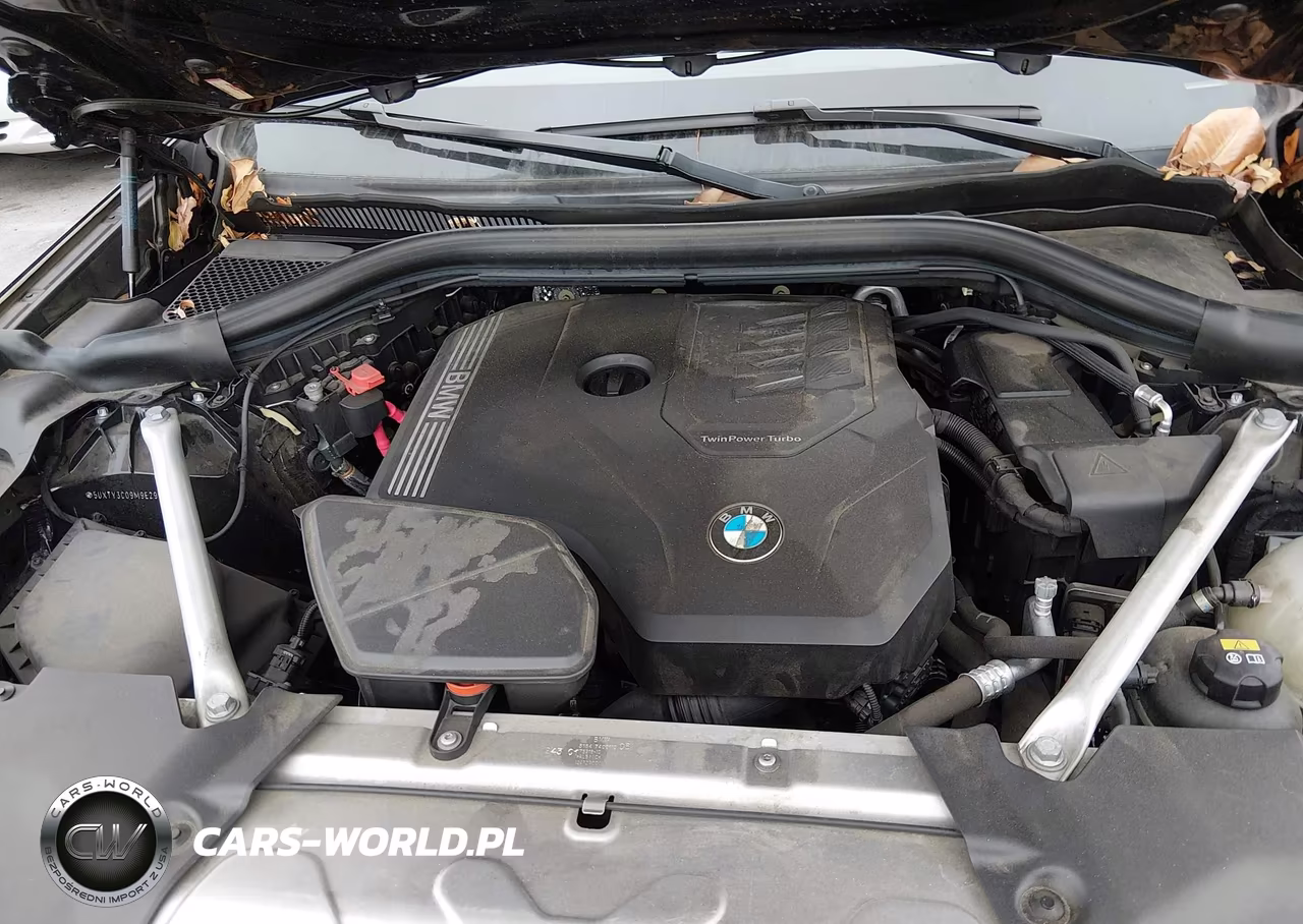 2021 BMW X3 Sdrive30I VIN:5UXTY3C09M9E29997 - 10