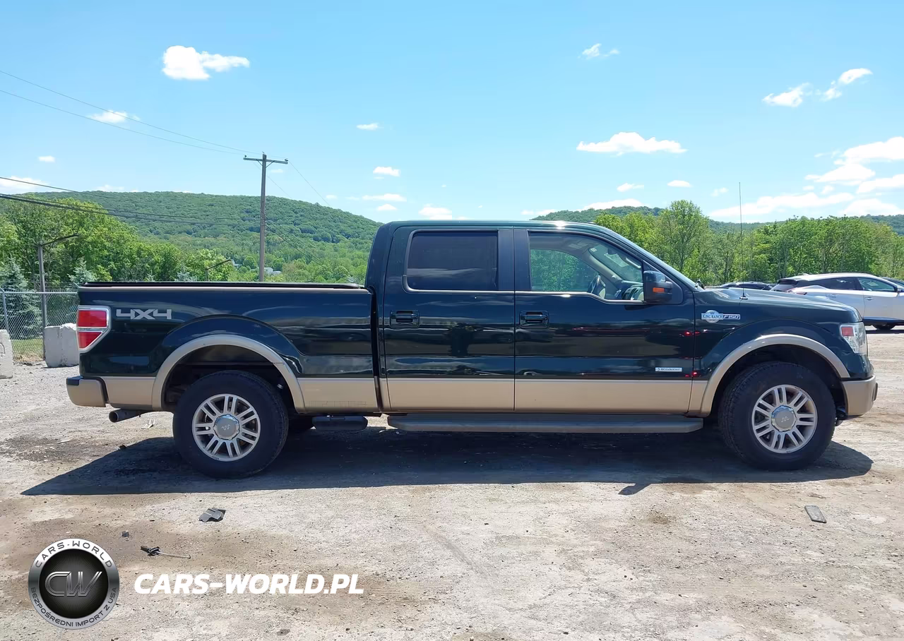 2013 Ford F-150 King Ranch VIN:1FTFW1ET9DKF64032 - 13