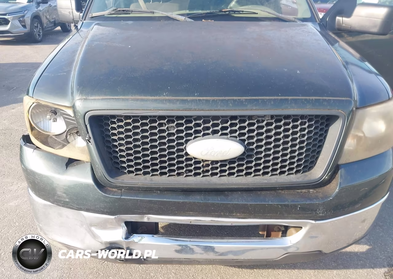 2006 Ford F-150 Stx-Xl-Xlt VIN:1FTRX12W26NB13731 - 6
