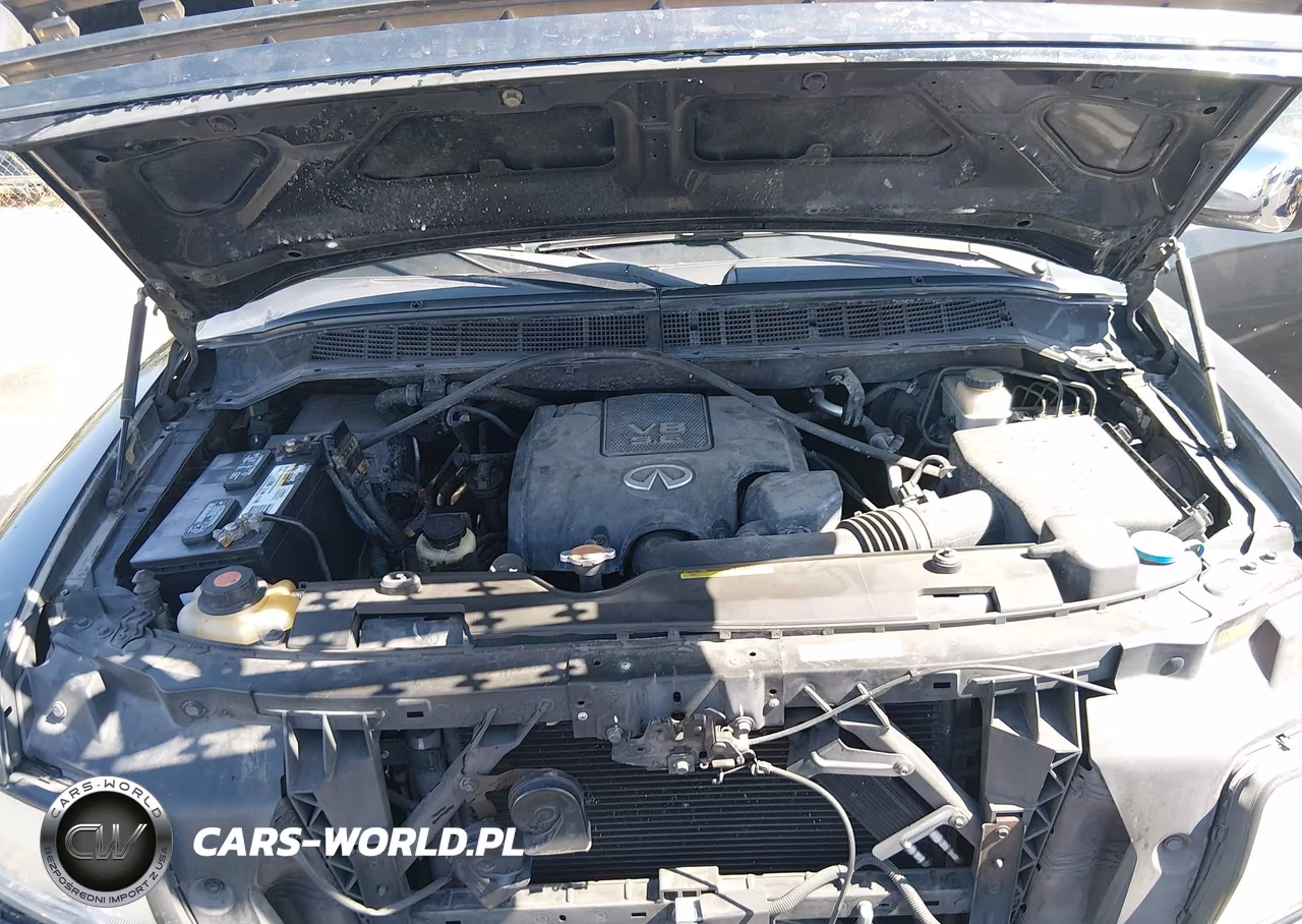 2009 Infiniti Qx56 VIN:5N3AA08D59N904003 - 10