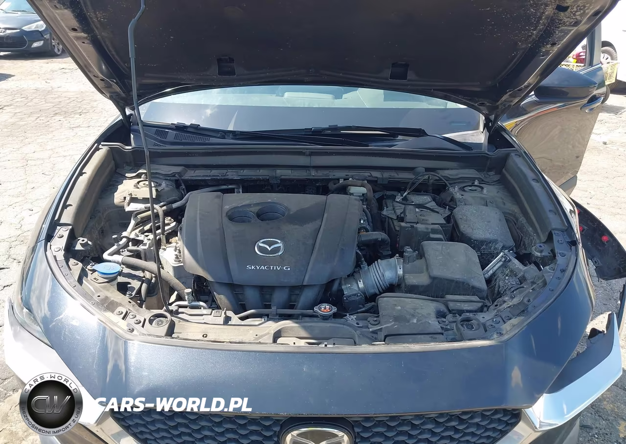 2021 Mazda Cx-30 2.5 S VIN:3MVDMAAL8MM304456 - 10