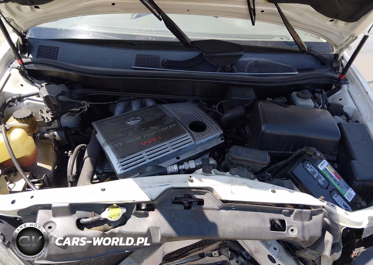 2000 Lexus Rx 300 VIN:JT6GF10U3Y0060752 - 10