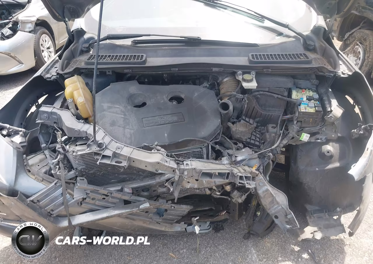 2013 Ford Escape Sel VIN:1FMCU0H9XDUC72196 - 10