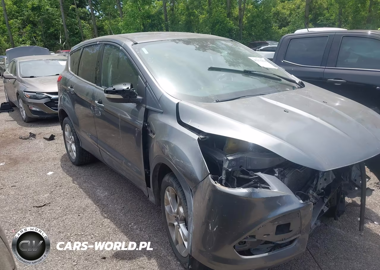 2013 Ford Escape Sel VIN:1FMCU0H9XDUC72196 - 13