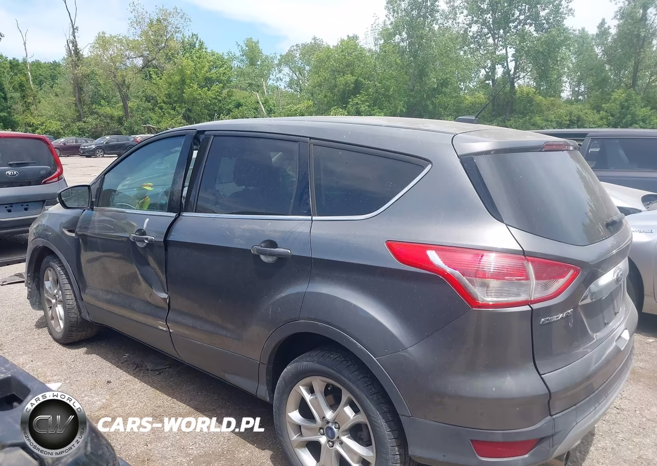 2013 Ford Escape Sel VIN:1FMCU0H9XDUC72196 - 14